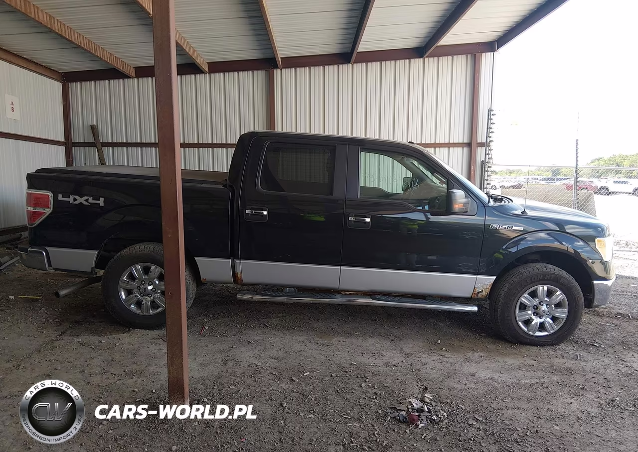 2010 Ford F150 Supercrew VIN:1FTFW1EV3AFD16722 - 13