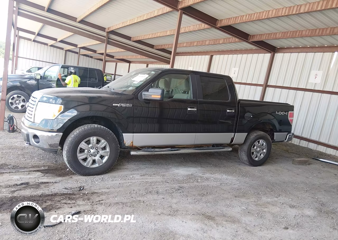 2010 Ford F150 Supercrew VIN:1FTFW1EV3AFD16722 - 14