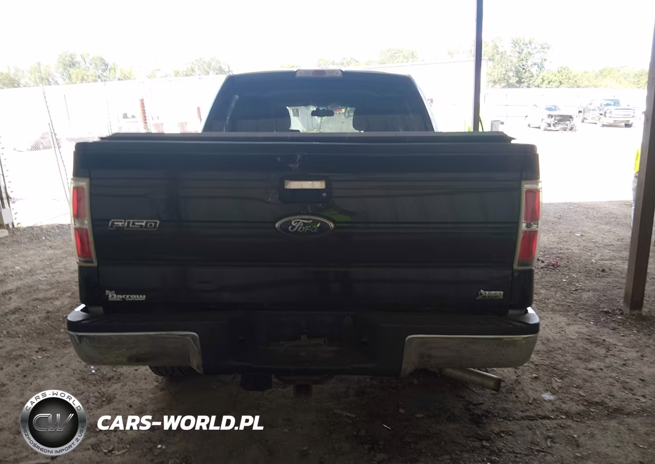 2010 Ford F150 Supercrew VIN:1FTFW1EV3AFD16722 - 16