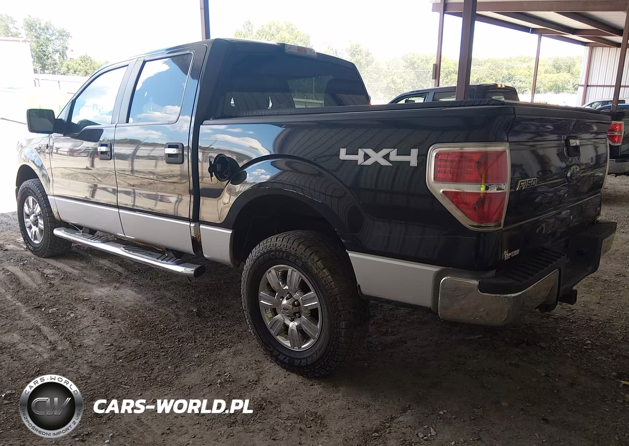 2010 Ford F150 Supercrew VIN:1FTFW1EV3AFD16722 - 3