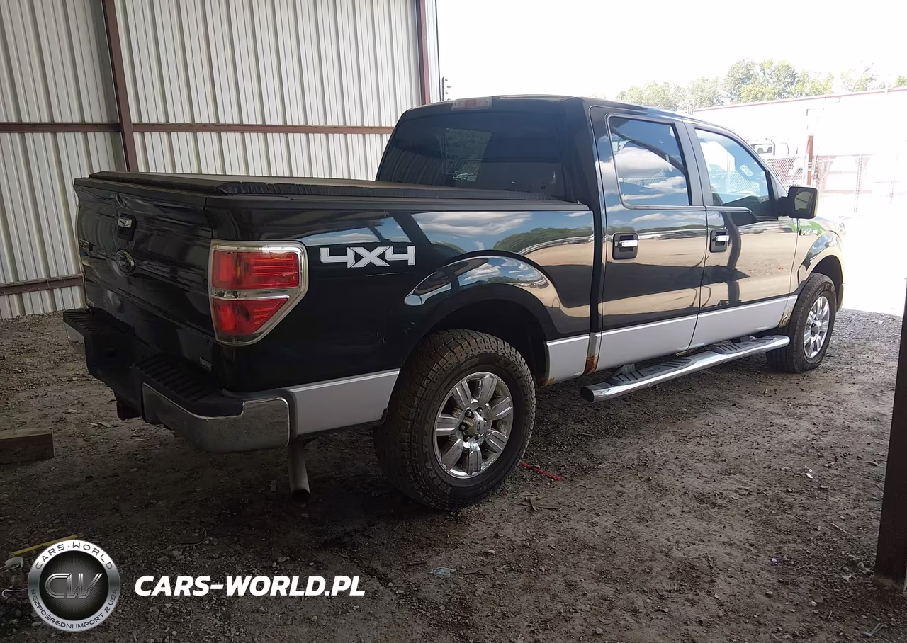 2010 Ford F150 Supercrew VIN:1FTFW1EV3AFD16722 - 4