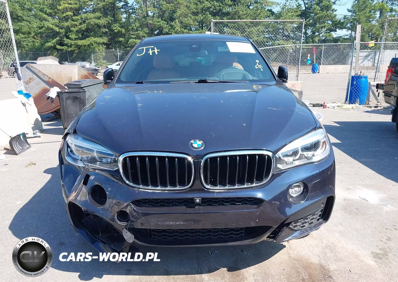 2017 BMW X6 xDrive35I VIN:5UXKU2C5XH0N84742 - 11
