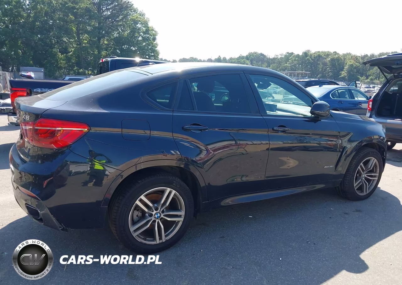 2017 BMW X6 xDrive35I VIN:5UXKU2C5XH0N84742 - 12