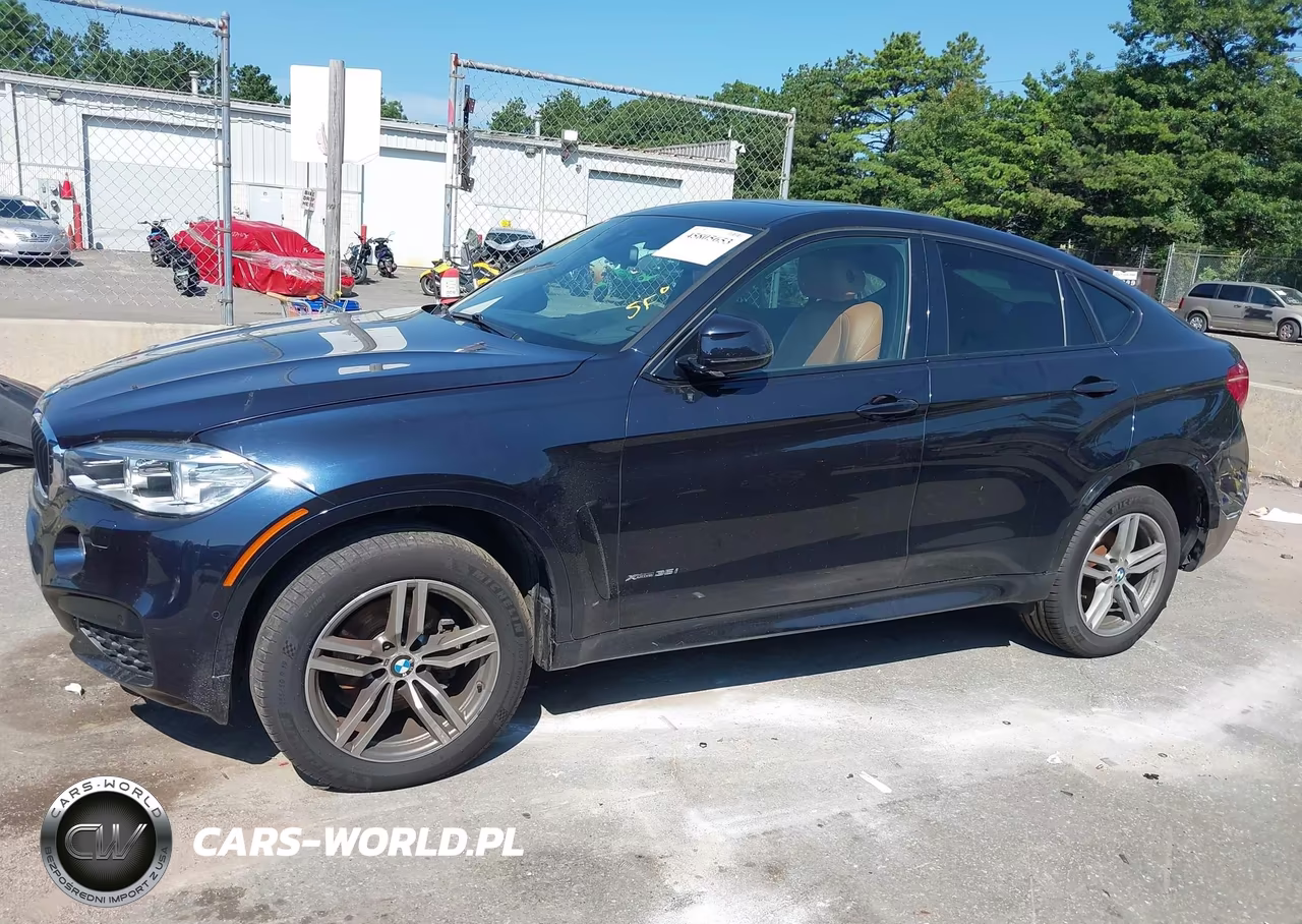 2017 BMW X6 xDrive35I VIN:5UXKU2C5XH0N84742 - 13