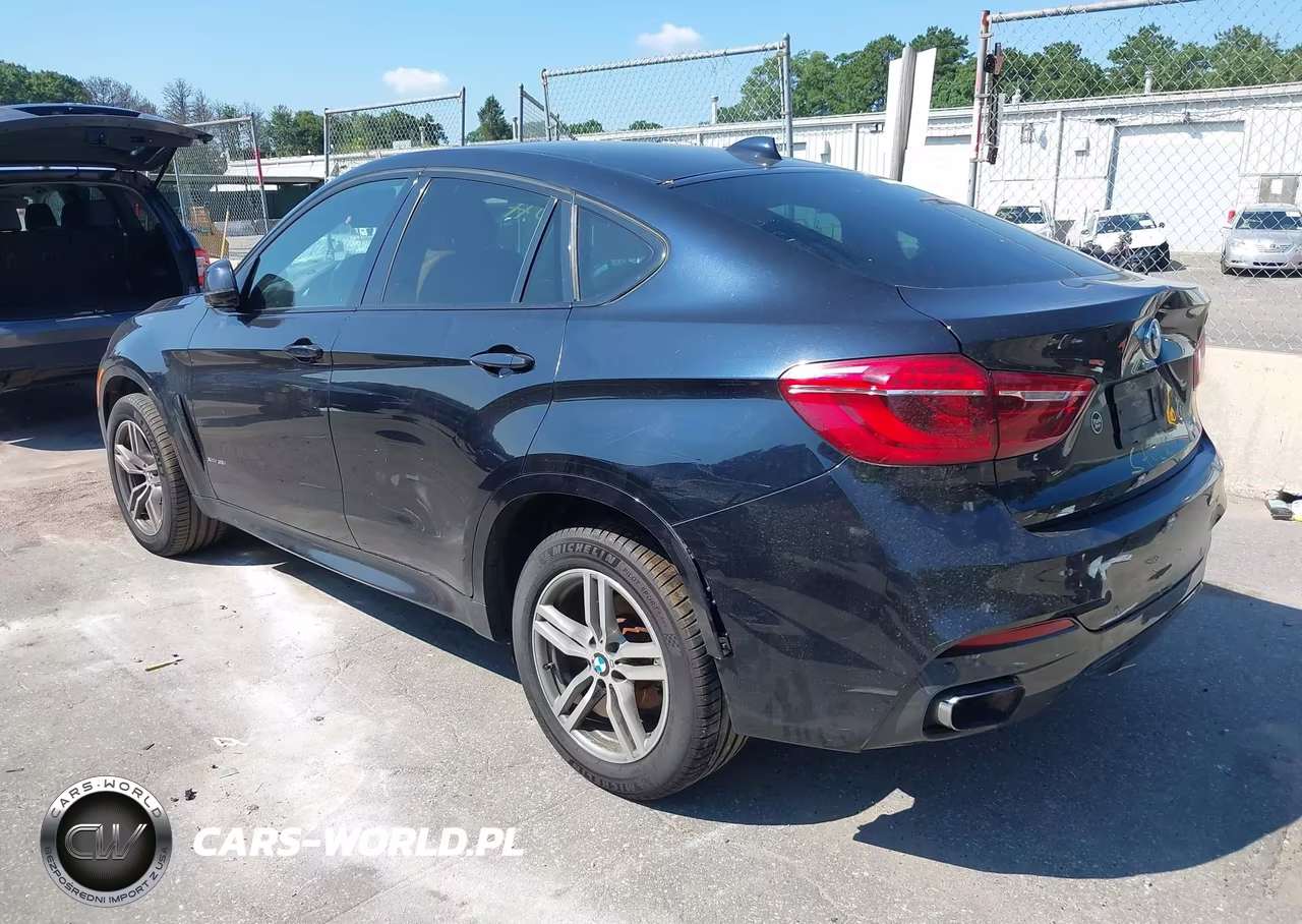 2017 BMW X6 xDrive35I VIN:5UXKU2C5XH0N84742 - 3