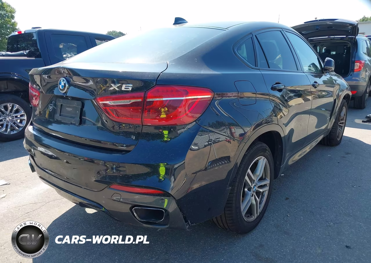 2017 BMW X6 xDrive35I VIN:5UXKU2C5XH0N84742 - 4