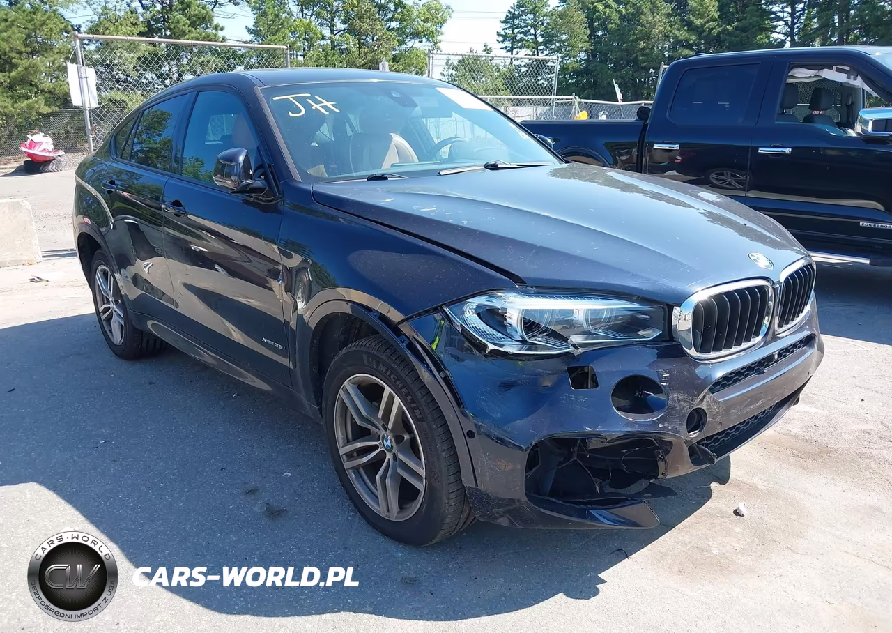 2017 BMW X6 xDrive35I VIN:5UXKU2C5XH0N84742 - 6
