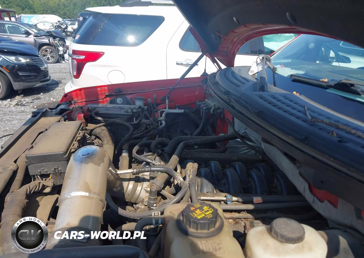 2013 Ford F-150 Stx VIN:1FTFX1CF7DFB79491 - 10