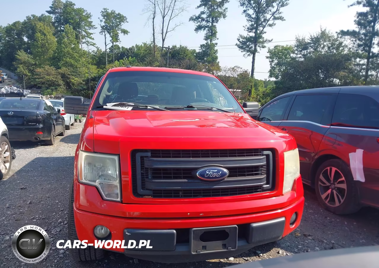 2013 Ford F-150 Stx VIN:1FTFX1CF7DFB79491 - 12