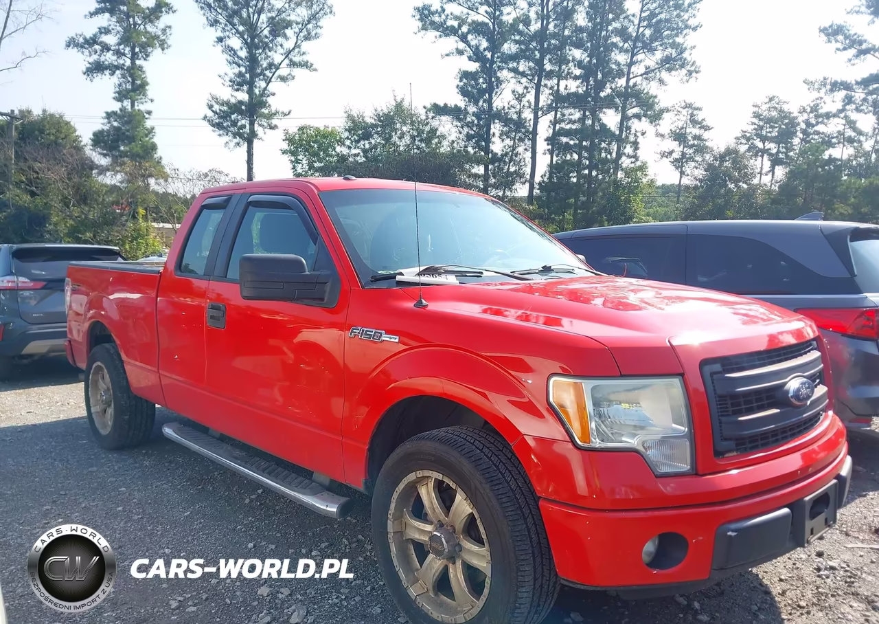 2013 Ford F-150 Stx VIN:1FTFX1CF7DFB79491 - 13