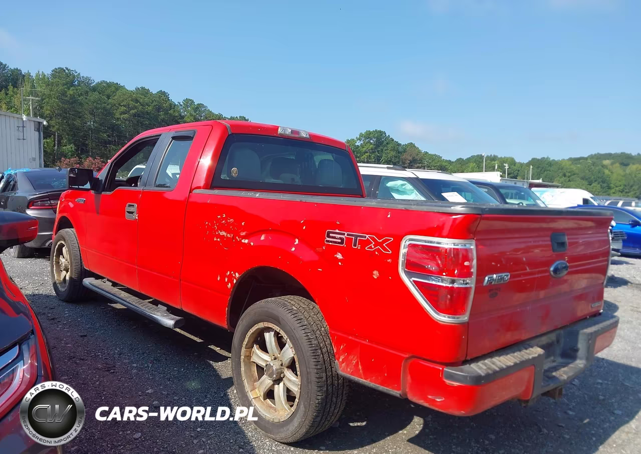 2013 Ford F-150 Stx VIN:1FTFX1CF7DFB79491 - 14