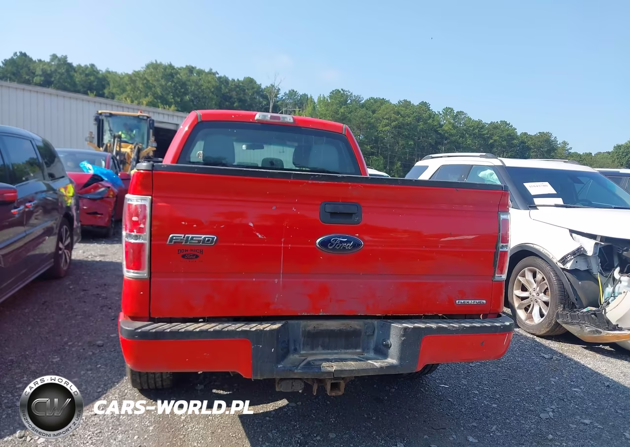2013 Ford F-150 Stx VIN:1FTFX1CF7DFB79491 - 16