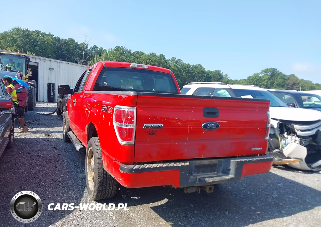 2013 Ford F-150 Stx VIN:1FTFX1CF7DFB79491 - 3