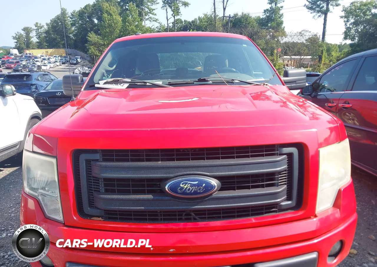 2013 Ford F-150 Stx VIN:1FTFX1CF7DFB79491 - 6
