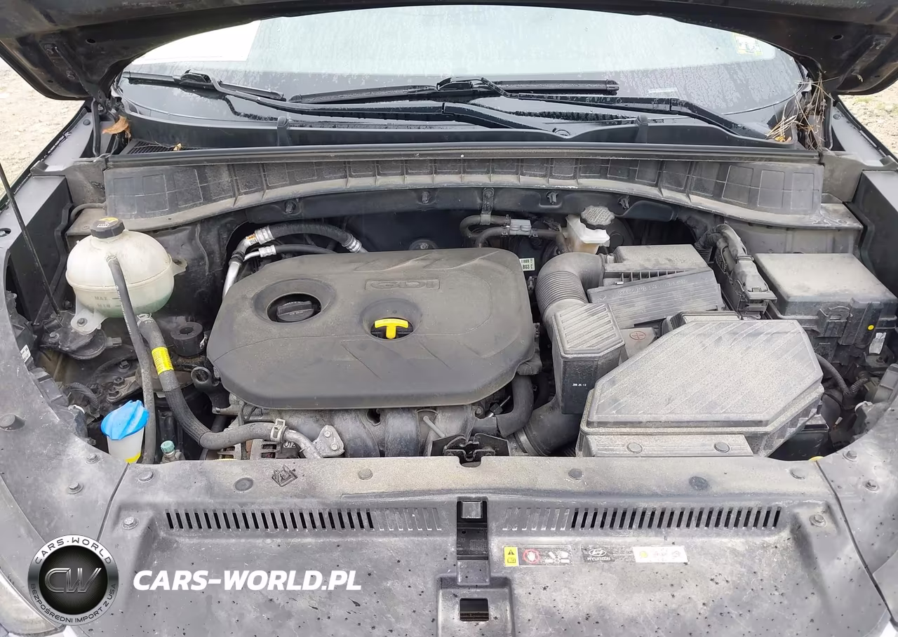 2018 Hyundai Tucson Sel VIN:KM8J33A46JU794023 - 10