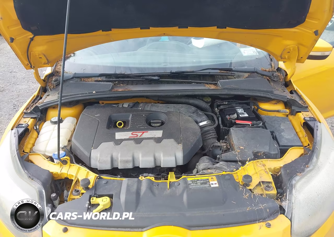 2013 Ford Focus St VIN:1FADP3L98DL208615 - 10