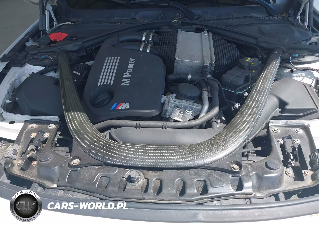 2016 BMW M4 VIN:WBS3U9C51GP969300 - 10