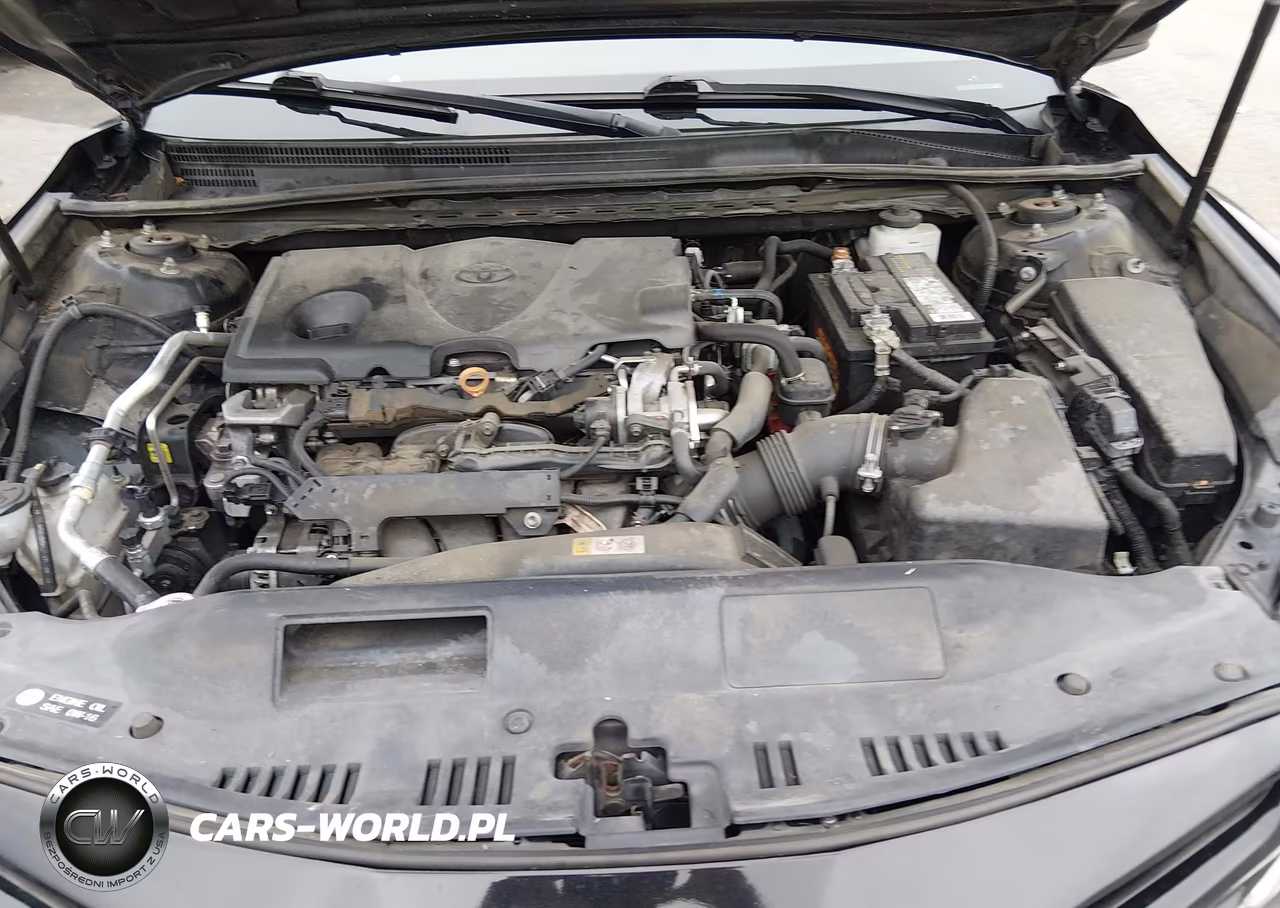 2019 Toyota Camry Se VIN:4T1B11HK1KU220580 - 10