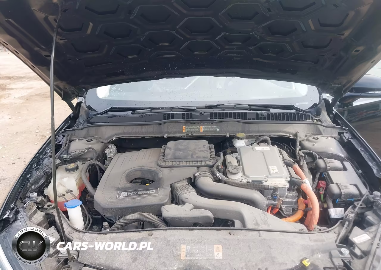 2019 Ford Fusion Hybrid Titanium VIN:3FA6P0RU3KR235609 - 10