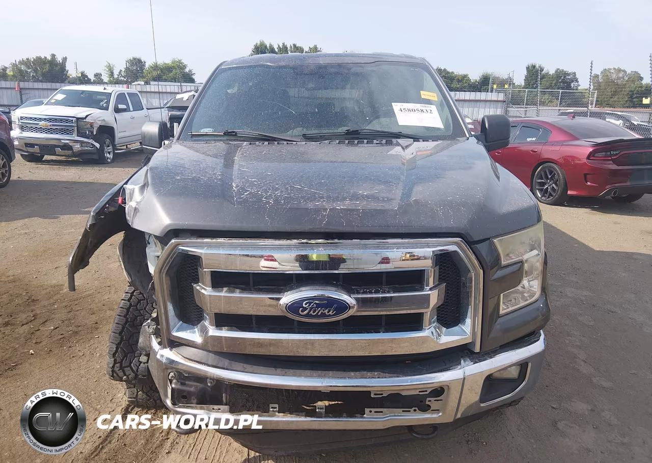 2015 Ford F-150 Xlt VIN:1FTEW1EF9FKE09893 - 12