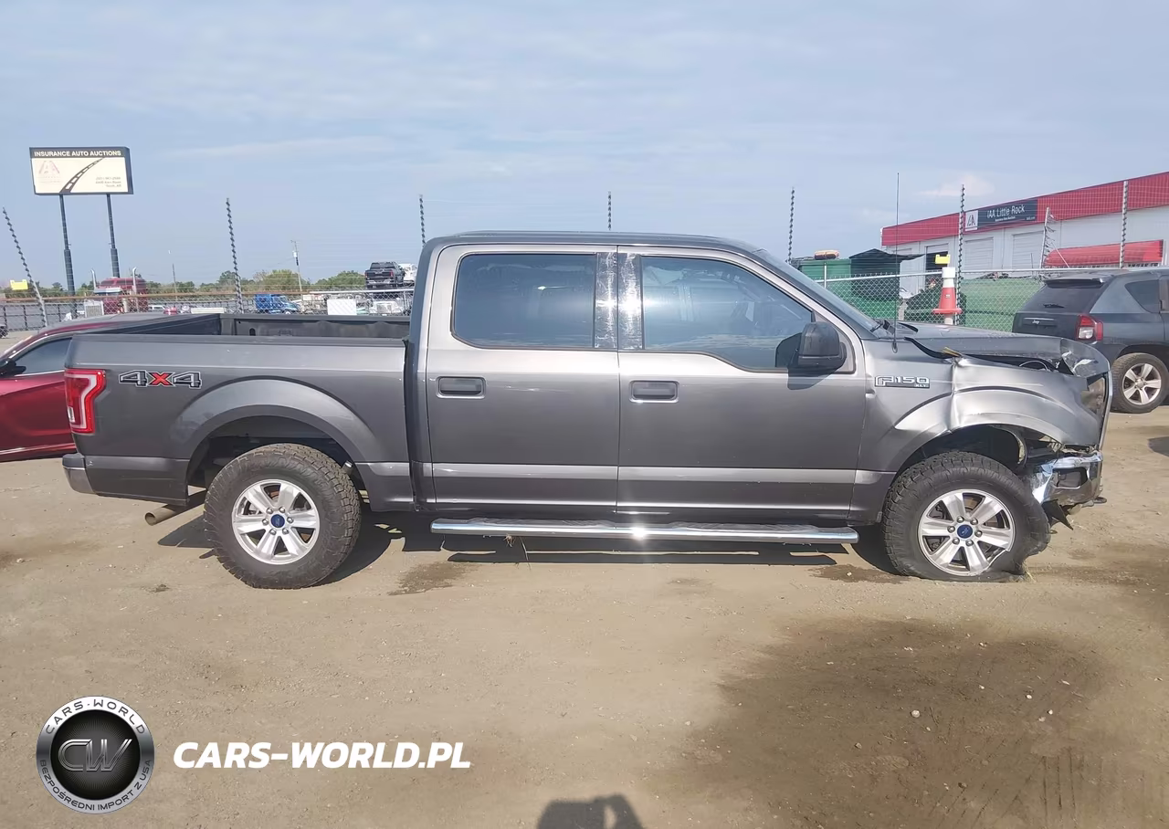 2015 Ford F-150 Xlt VIN:1FTEW1EF9FKE09893 - 13