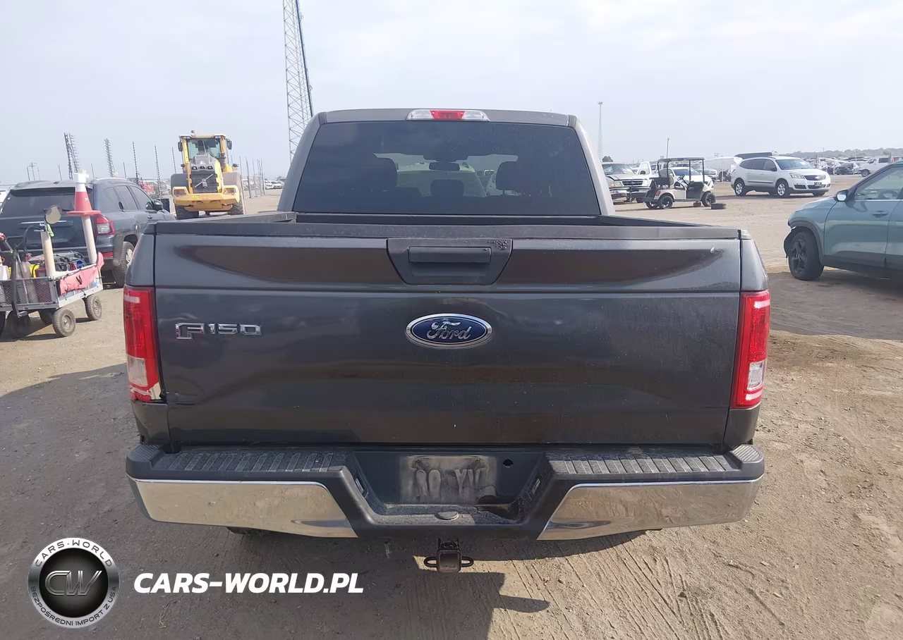 2015 Ford F-150 Xlt VIN:1FTEW1EF9FKE09893 - 16