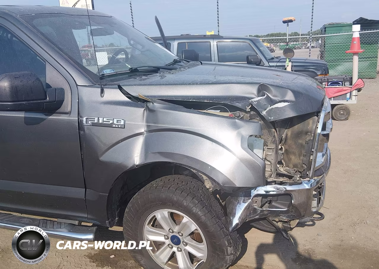 2015 Ford F-150 Xlt VIN:1FTEW1EF9FKE09893 - 17