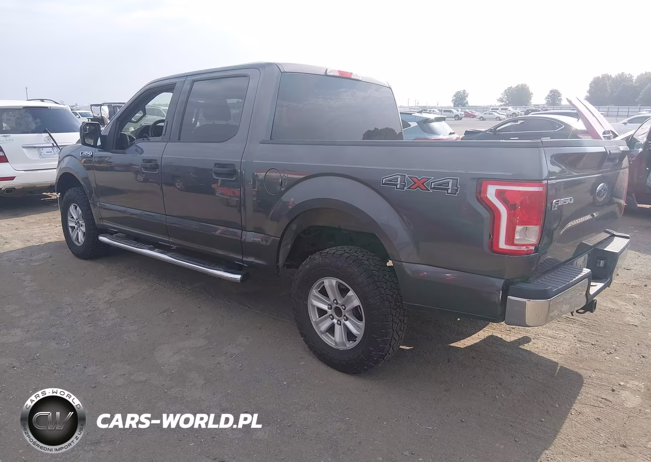 2015 Ford F-150 Xlt VIN:1FTEW1EF9FKE09893 - 3