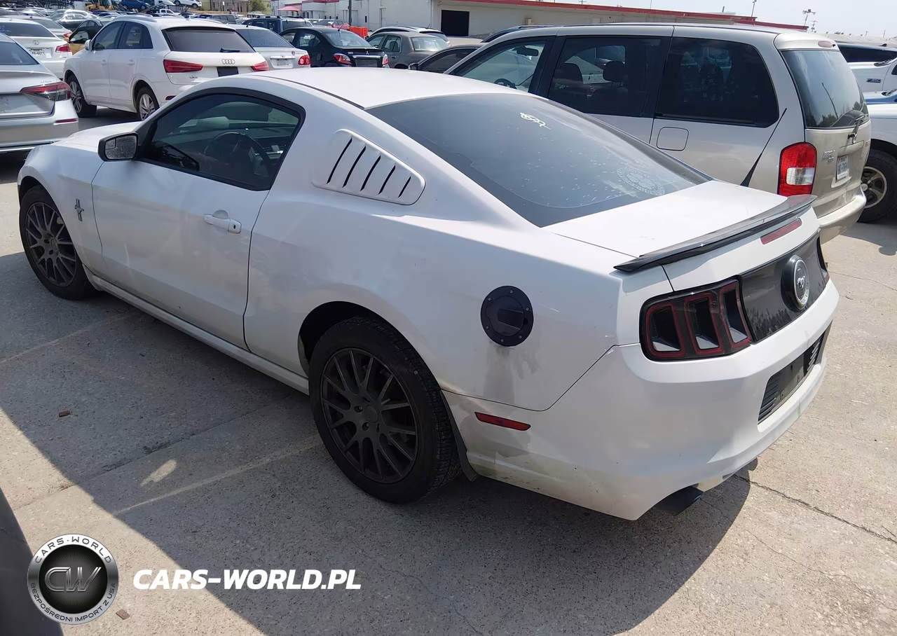 2014 Ford Mustang V6 VIN:1ZVBP8AM5E5331877 - 3
