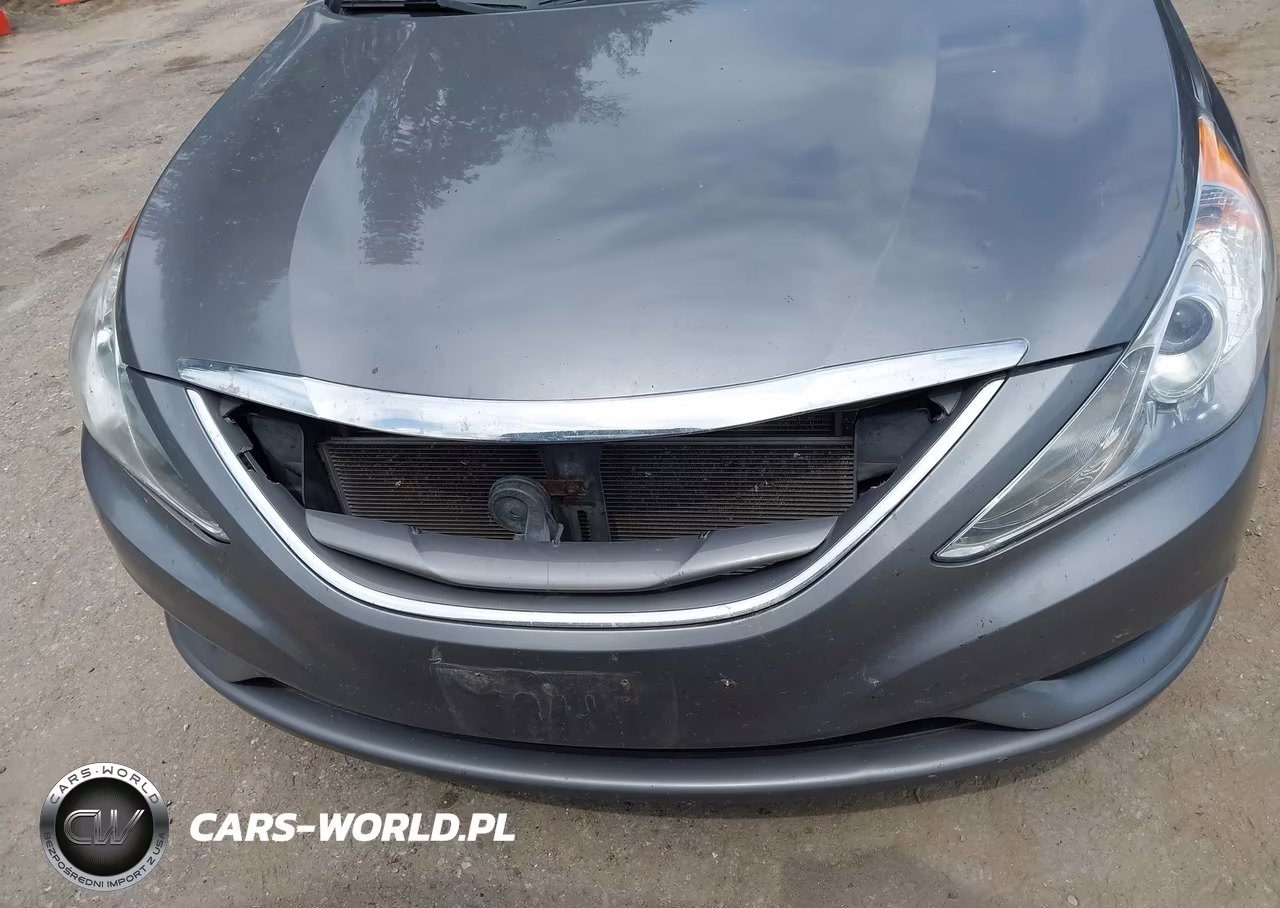 2011 Hyundai Sonata Gls VIN:5NPEB4AC4BH274761 - 6