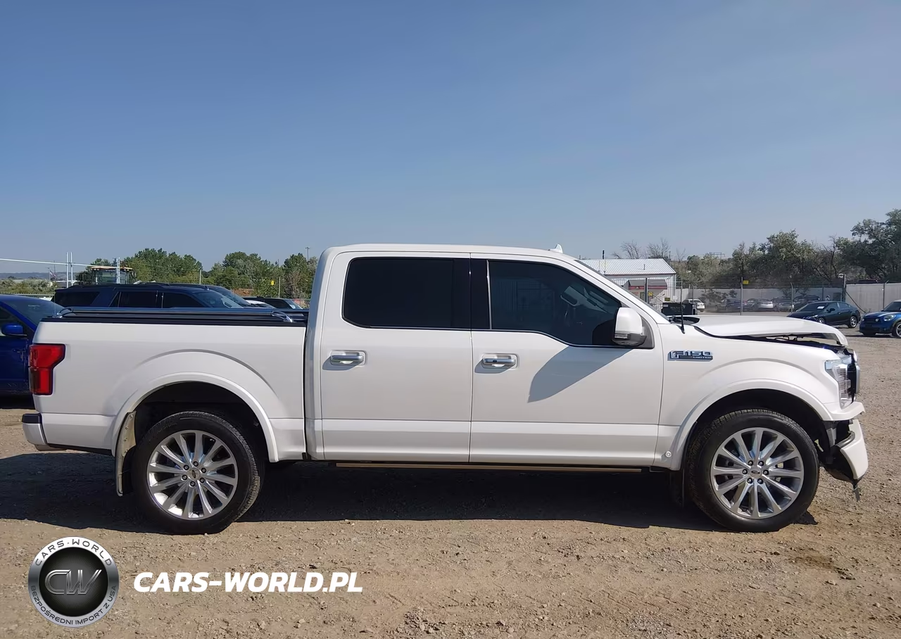 2019 Ford F-150 Limited VIN:1FTEW1EG2KFD20338 - 13