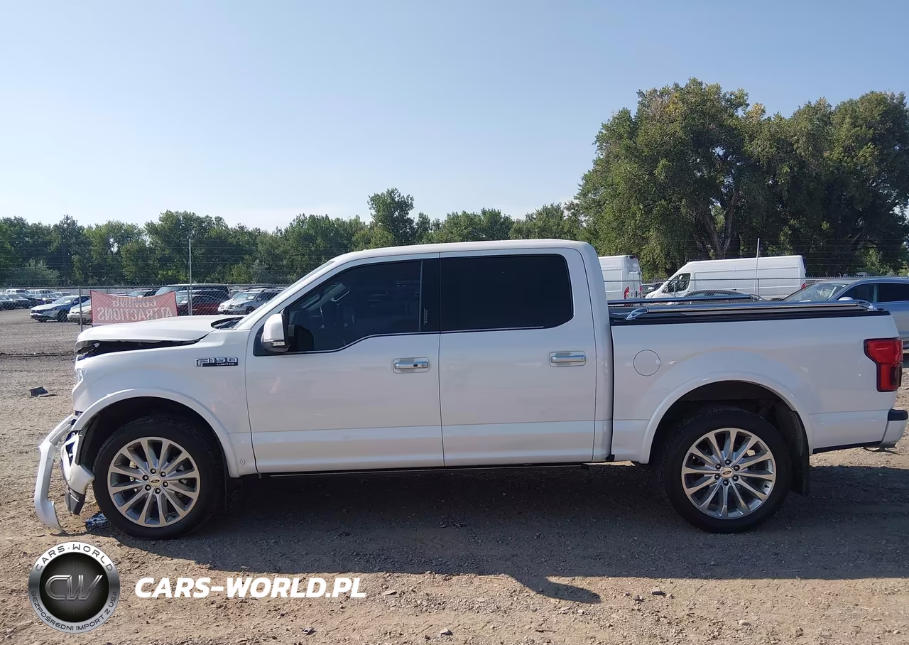 2019 Ford F-150 Limited VIN:1FTEW1EG2KFD20338 - 14