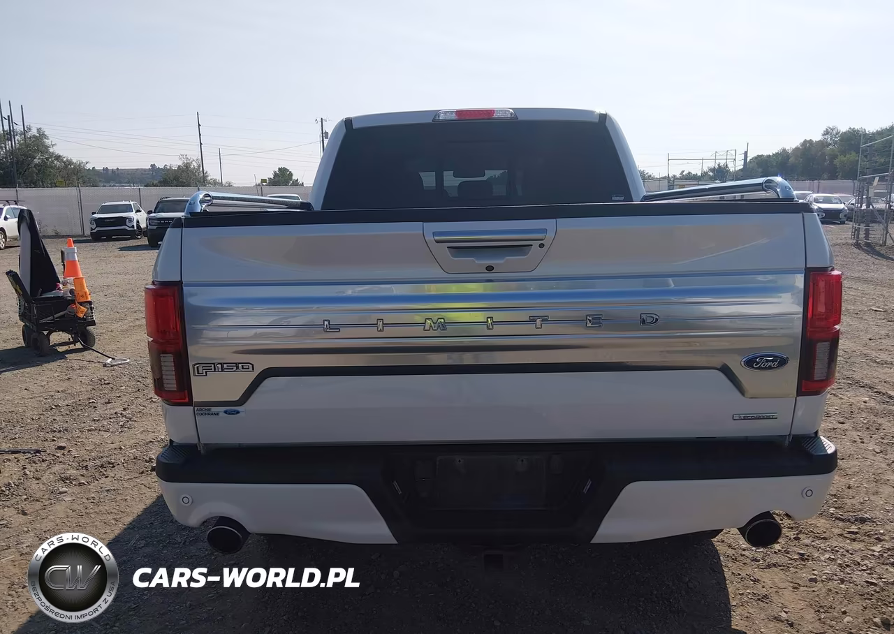 2019 Ford F-150 Limited VIN:1FTEW1EG2KFD20338 - 16