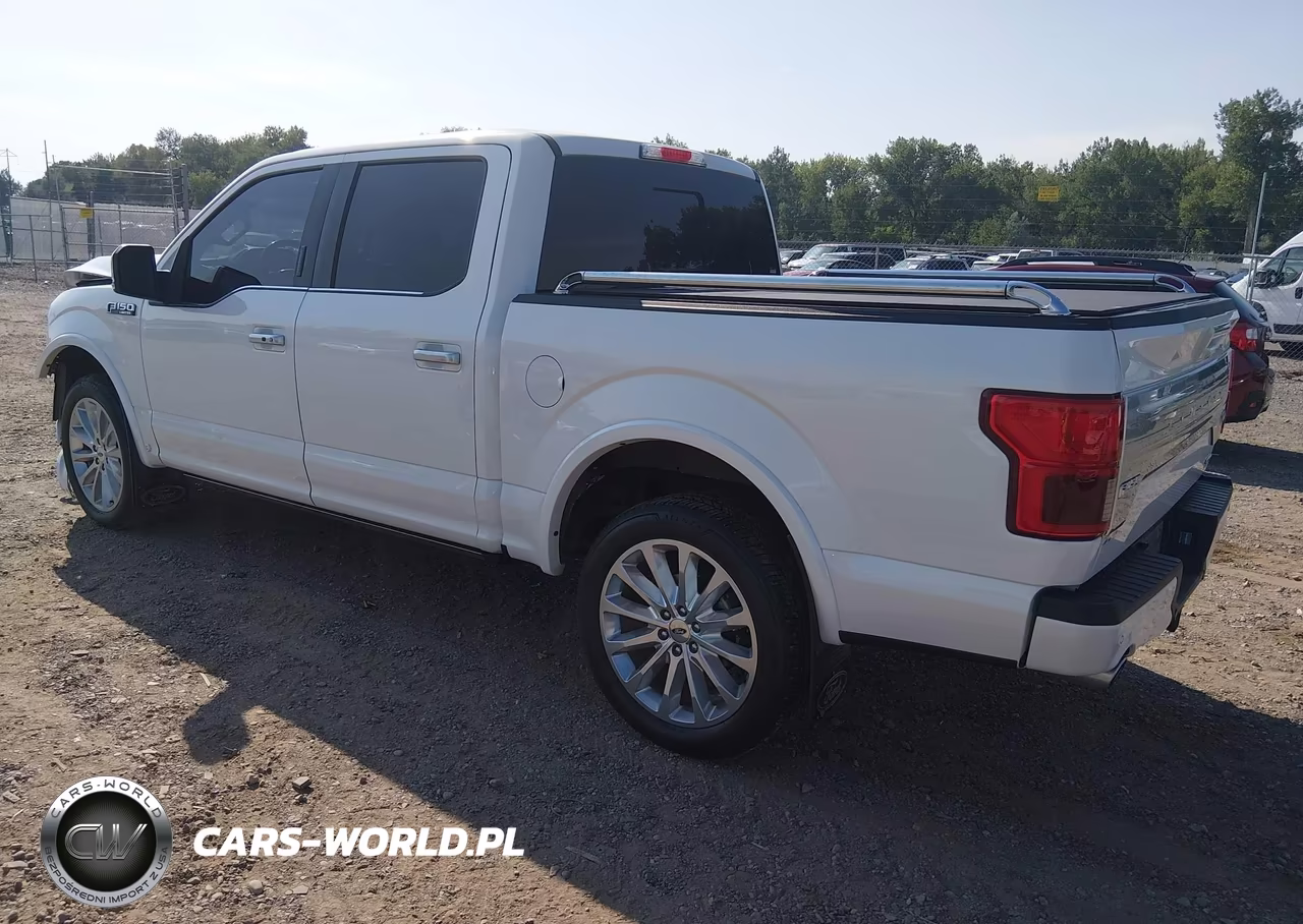 2019 Ford F-150 Limited VIN:1FTEW1EG2KFD20338 - 3