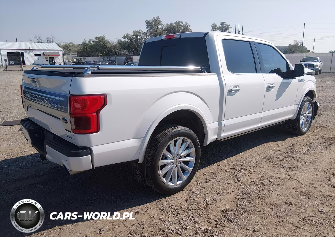 2019 Ford F-150 Limited VIN:1FTEW1EG2KFD20338 - 4