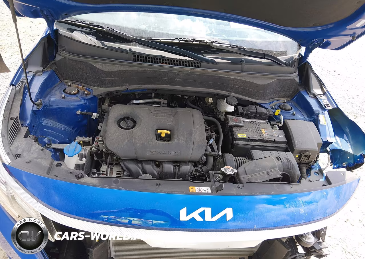 2024 Kia Seltos Lx VIN:KNDEPCAAXR7658066 - 10