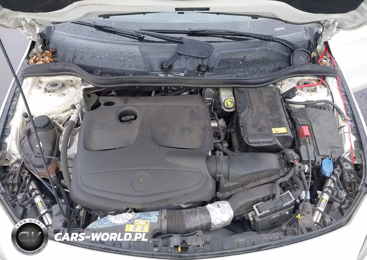 2015 Mercedes-Benz Cla 250 VIN:WDDSJ4EB8FN239837 - 10