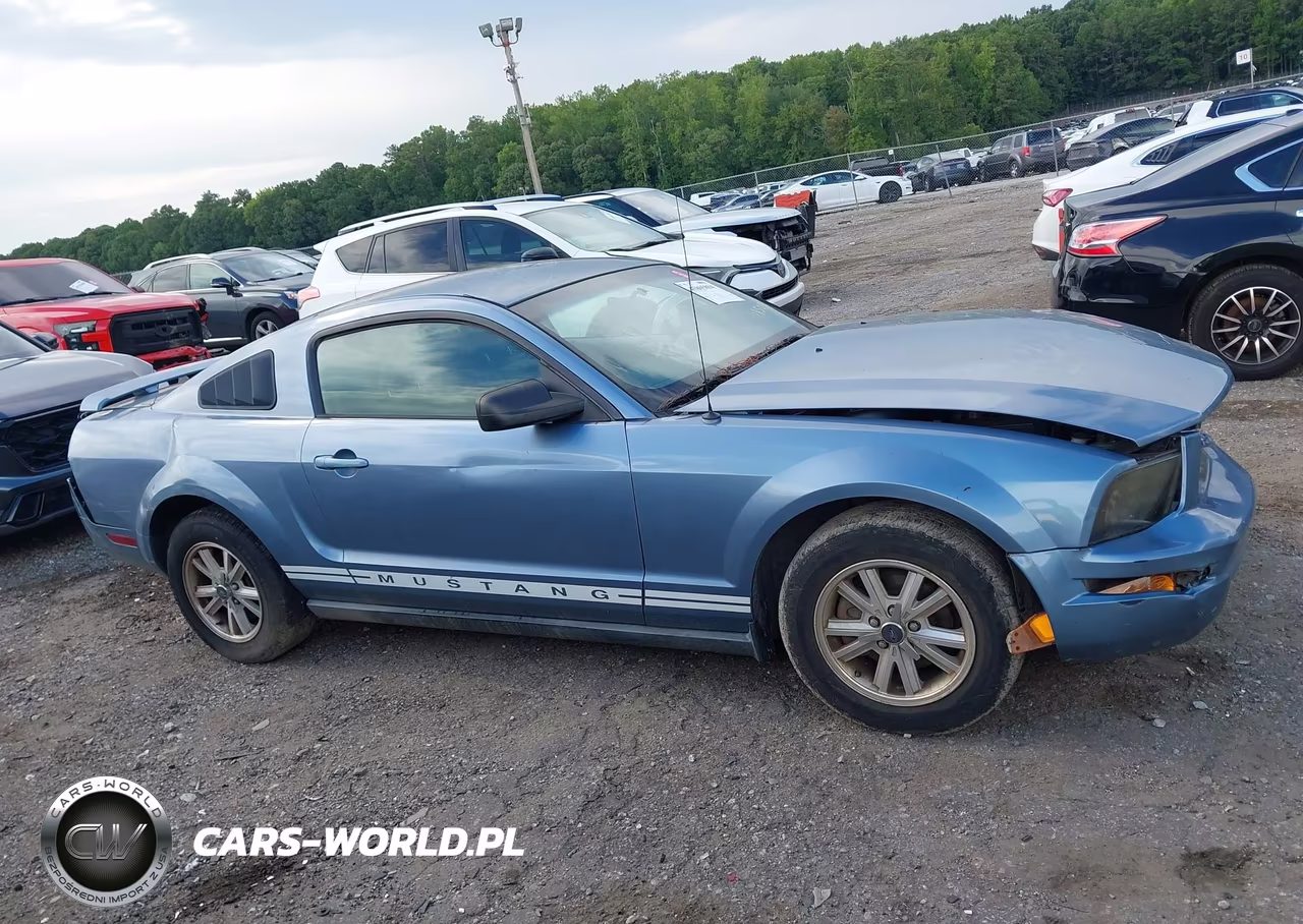 2006 Ford Mustang V6 VIN:1ZVFT80N965118505 - 14