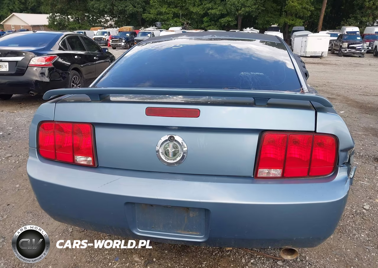 2006 Ford Mustang V6 VIN:1ZVFT80N965118505 - 17