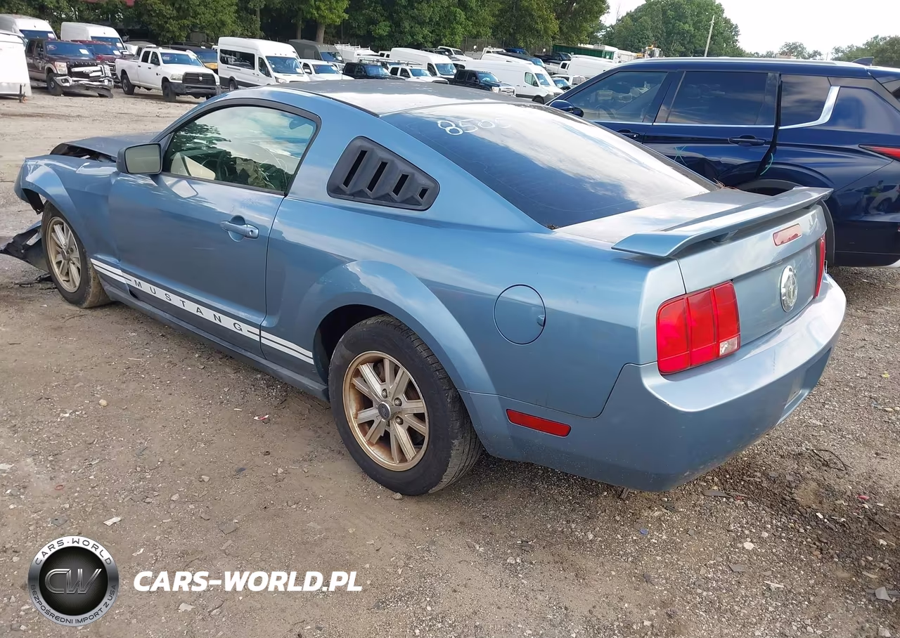2006 Ford Mustang V6 VIN:1ZVFT80N965118505 - 3