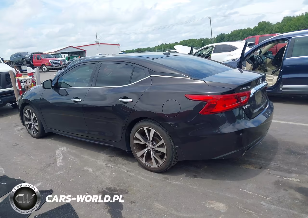 2017 Nissan Maxima 3.5 Platinum VIN:1N4AA6AP6HC415176 - 14