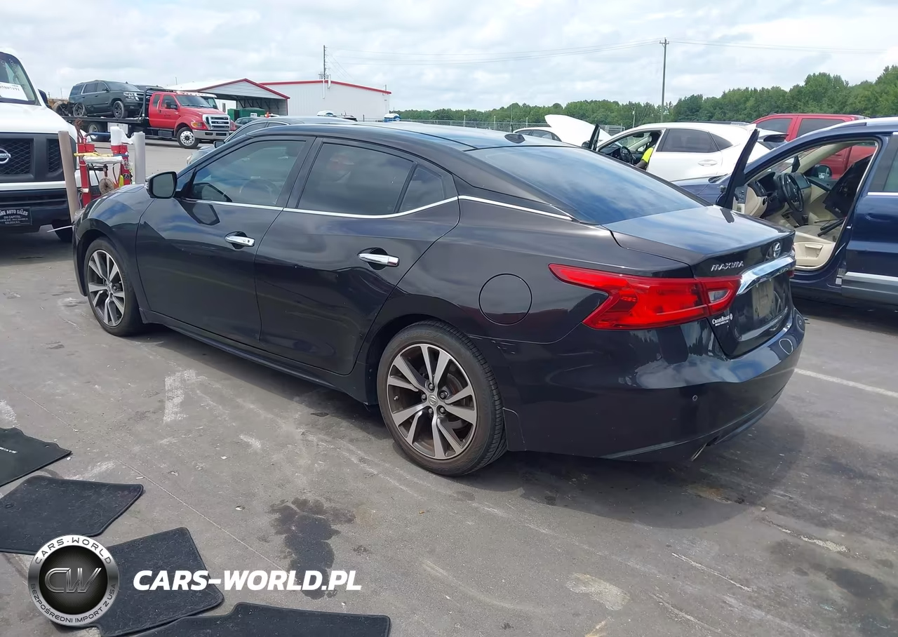 2017 Nissan Maxima 3.5 Platinum VIN:1N4AA6AP6HC415176 - 3