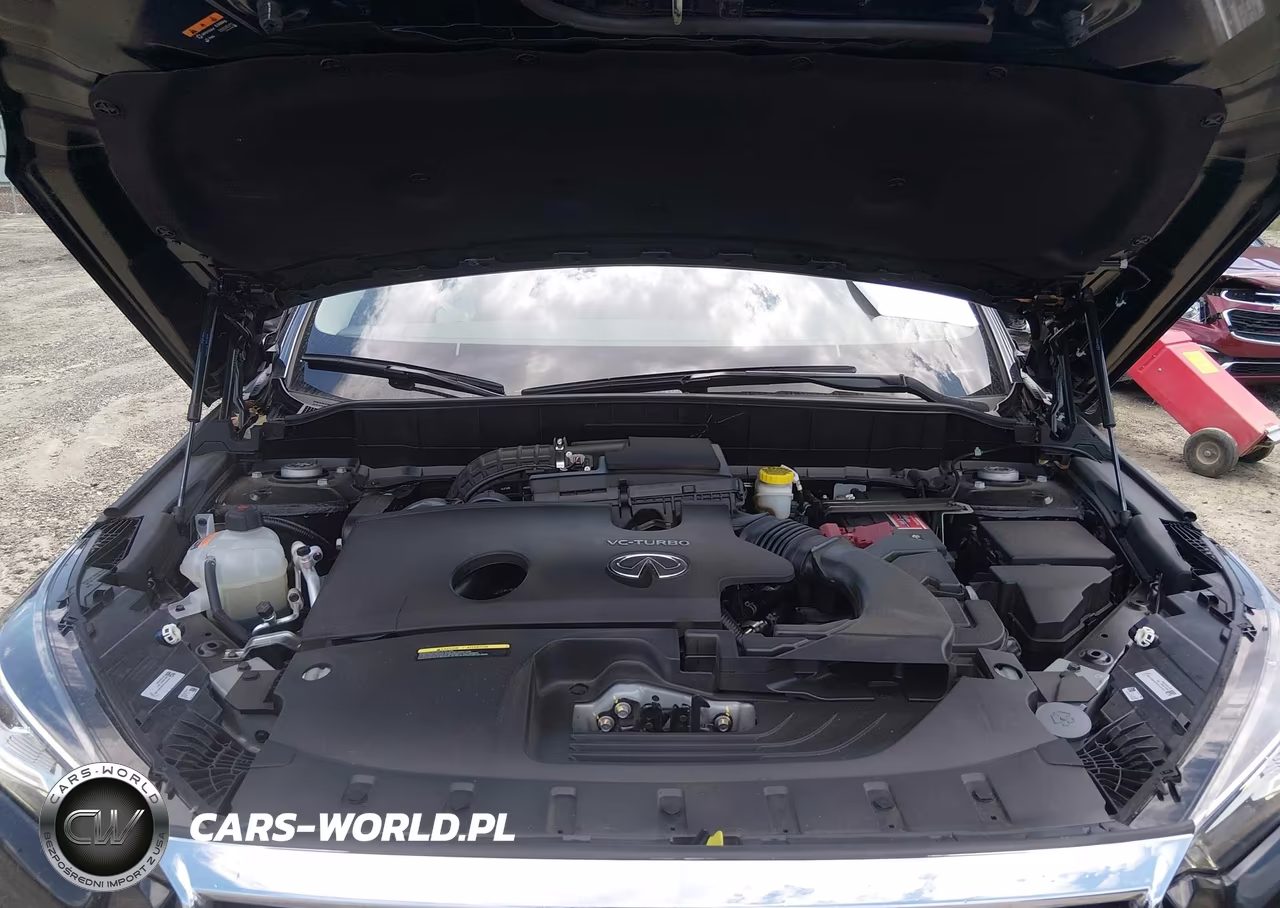 2023 Infiniti Qx50 Luxe VIN:3PCAJ5BAXPF117942 - 10