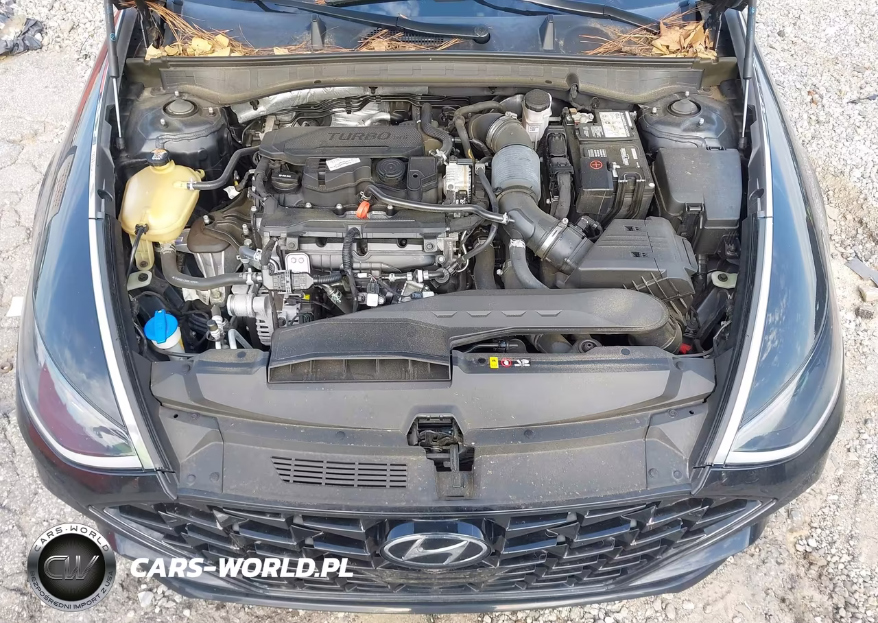 2022 Hyundai Sonata Sel Plus VIN:5NPEJ4J21NH136335 - 10