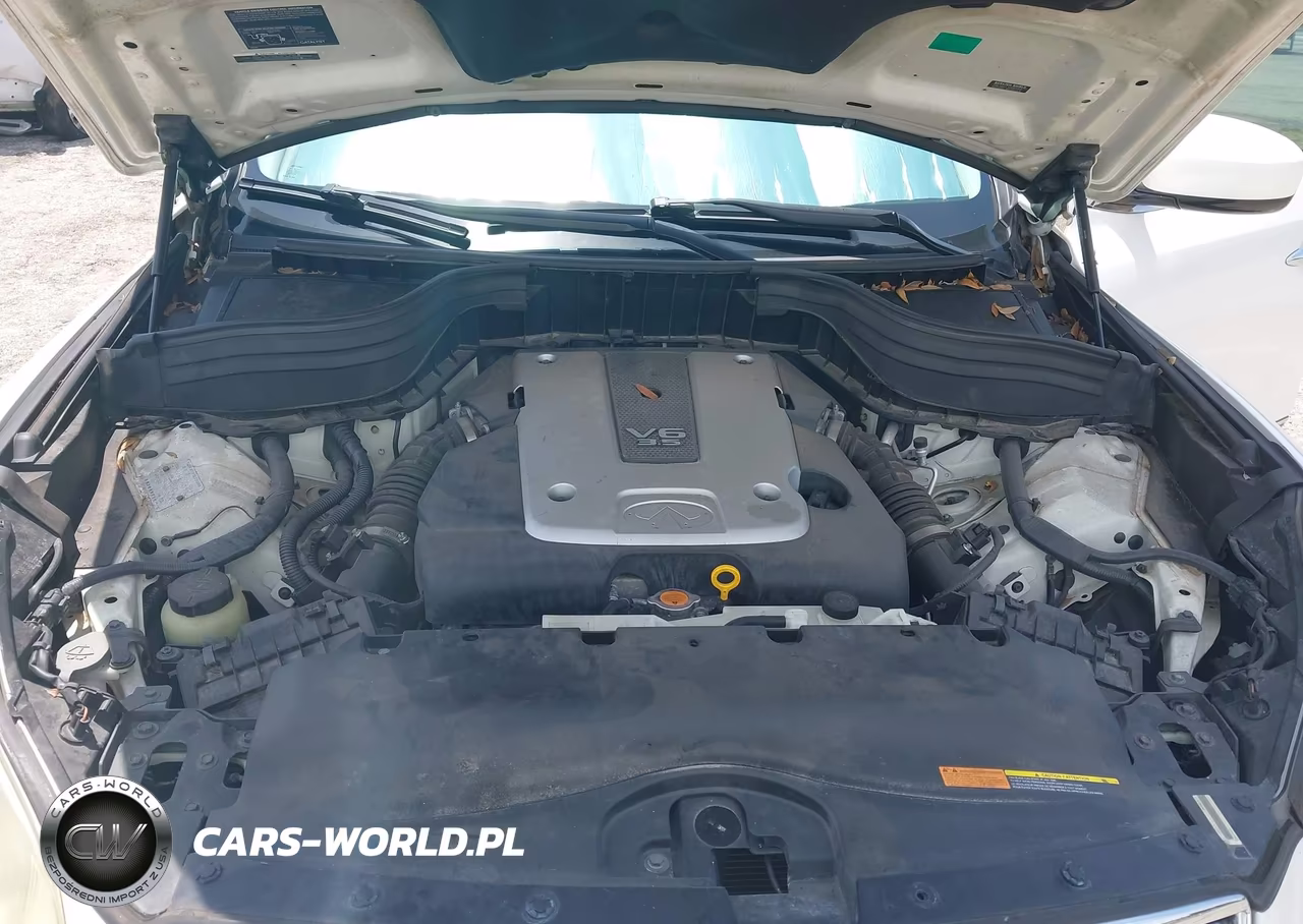 2008 Infiniti Ex35 Journey VIN:JNKAJ09EX8M301717 - 10