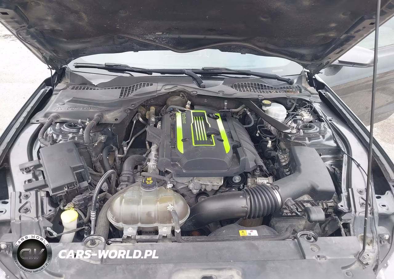 2017 Ford Mustang Ecoboost Premium VIN:1FATP8UH4H5320322 - 10