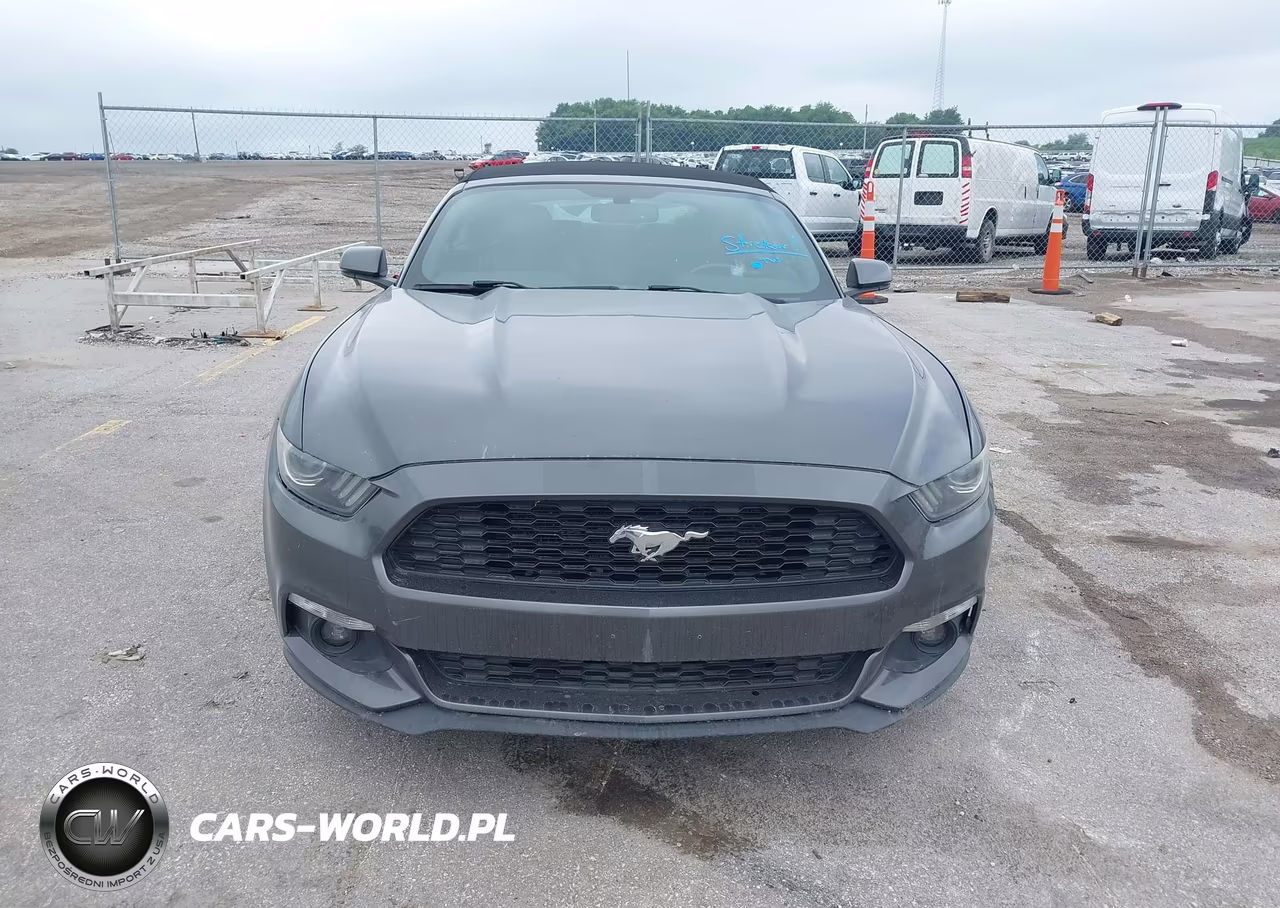 2017 Ford Mustang Ecoboost Premium VIN:1FATP8UH4H5320322 - 12
