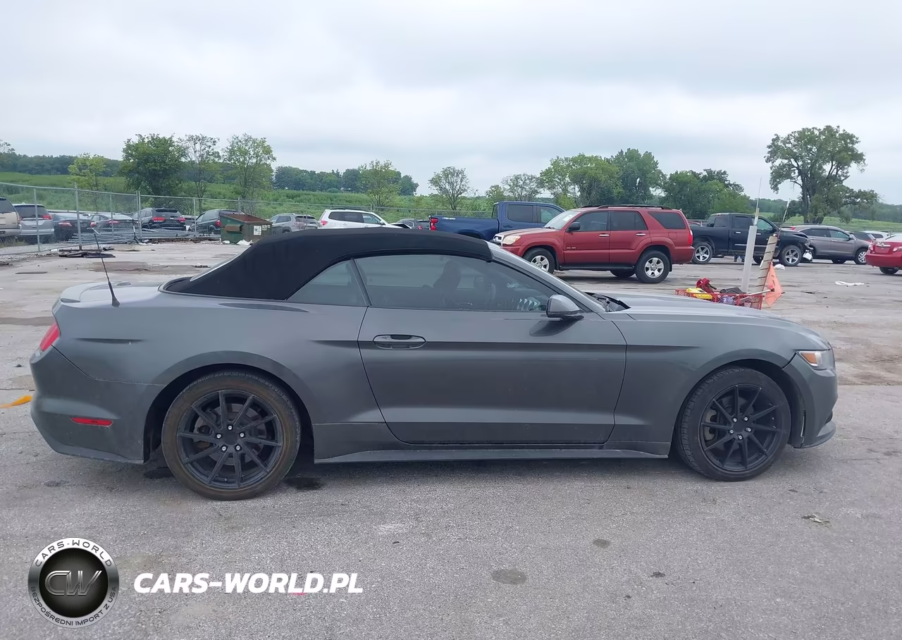 2017 Ford Mustang Ecoboost Premium VIN:1FATP8UH4H5320322 - 13