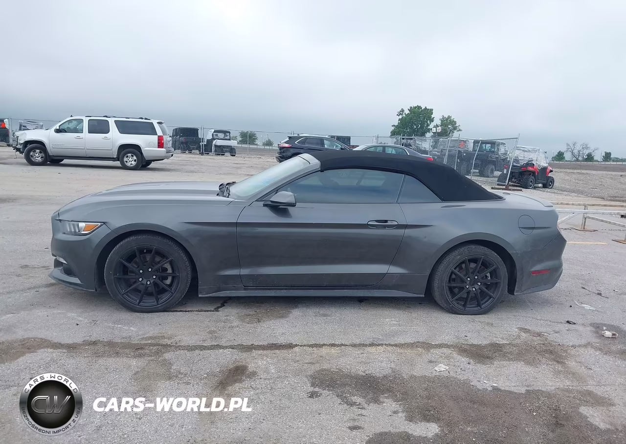 2017 Ford Mustang Ecoboost Premium VIN:1FATP8UH4H5320322 - 14