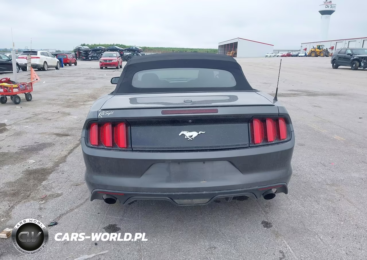 2017 Ford Mustang Ecoboost Premium VIN:1FATP8UH4H5320322 - 16